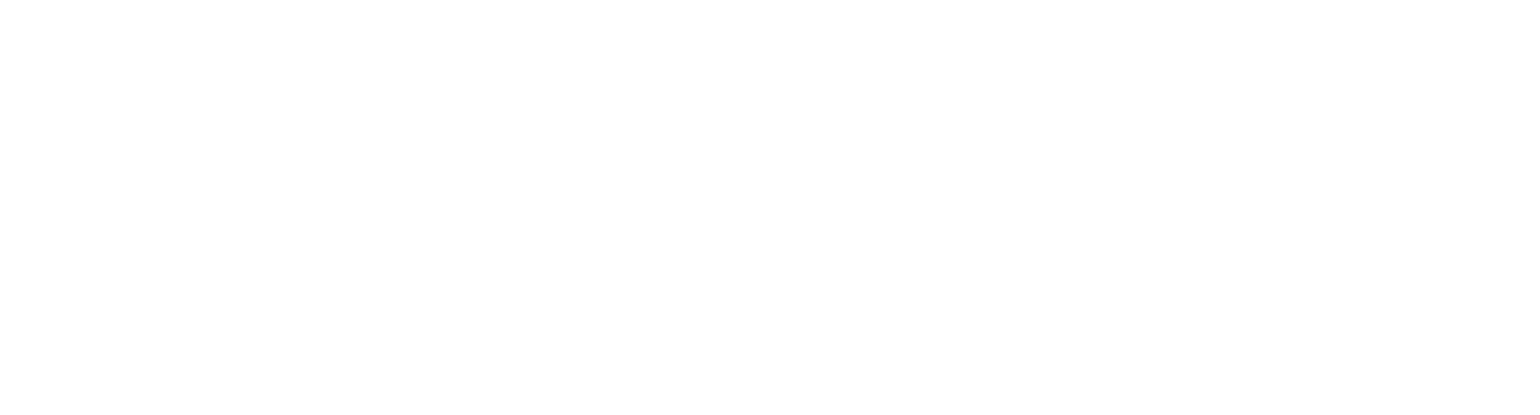 Total Card Visa Logo White
